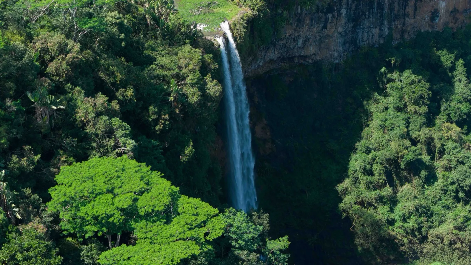 Chamarel Waterfall dropping into the forested gorge, Mauritius
